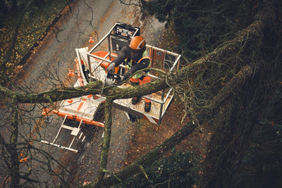 Person using a chainsaw on a tree branch from a height